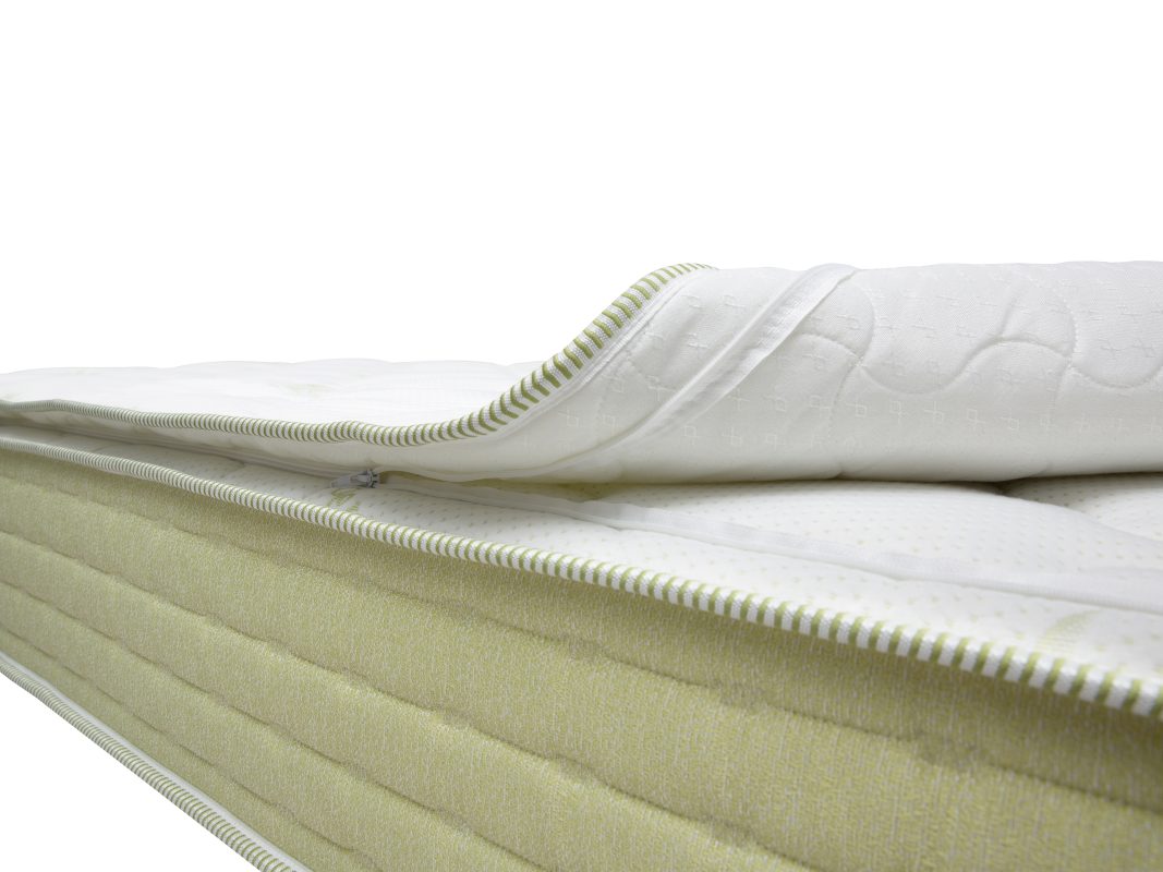 Salsa 90 Zip Green R